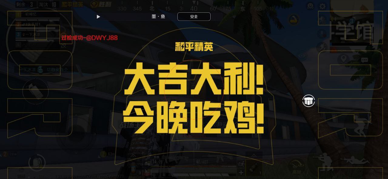 和平精英迪达拉Pro辅助